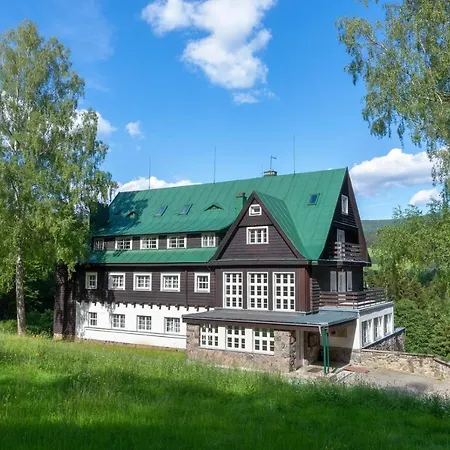 Panorama *