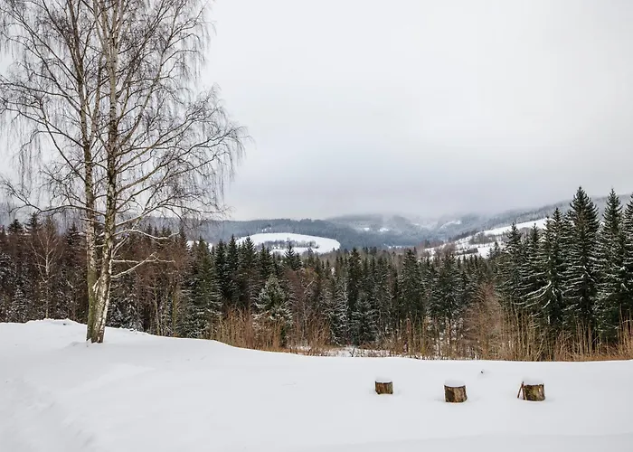 Lägenhetshotell Panorama Destne v Orlickych horach